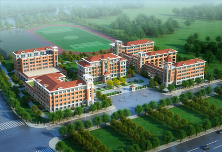 測試的案例信息，測試的案例信息